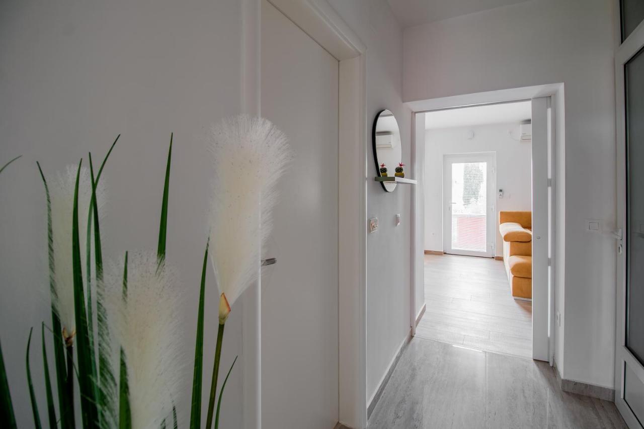 Apartment Matija 扎达尔 外观 照片